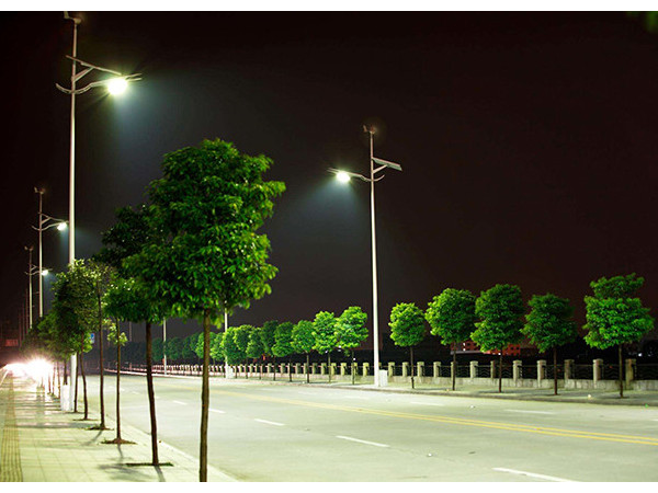 太陽(yáng)能風(fēng)光互補(bǔ)路燈