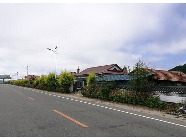 新農(nóng)村太陽能路燈廠家