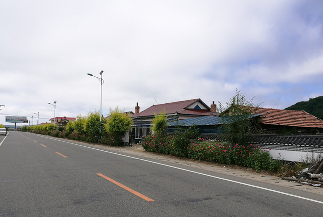 新農(nóng)村太陽能路燈廠家