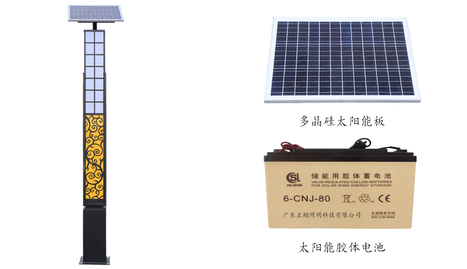 太陽(yáng)能景觀燈 ZX-1015詳情圖 太陽(yáng)能景觀燈 ZX-1015詳情圖