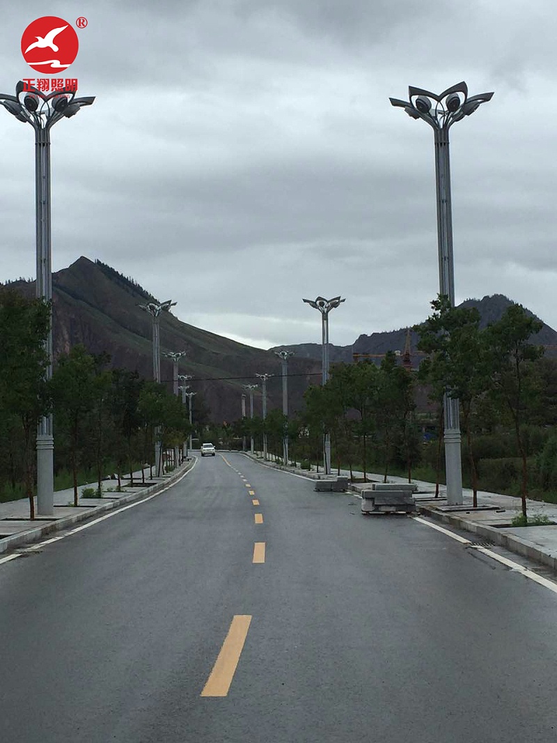 青海西寧玉蘭燈 青海西寧玉蘭燈