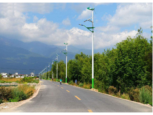 農(nóng)村太陽(yáng)能路燈廠家