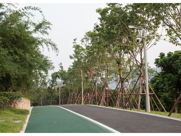 公園小區(qū)智慧路燈