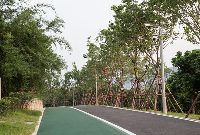 公園小區(qū)智慧路燈