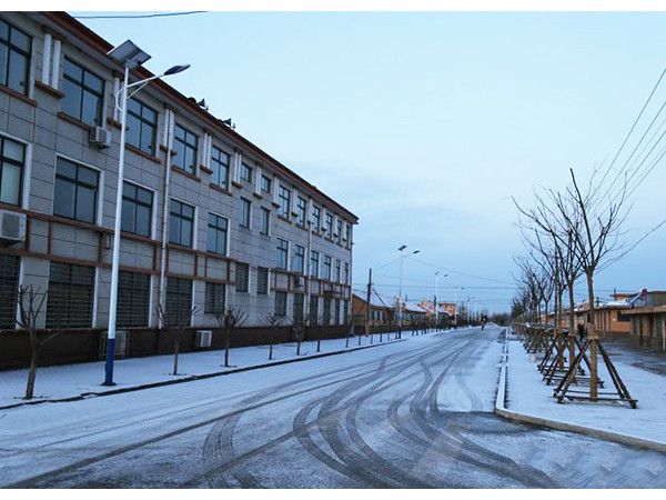 鄉(xiāng)村太陽能LED路燈