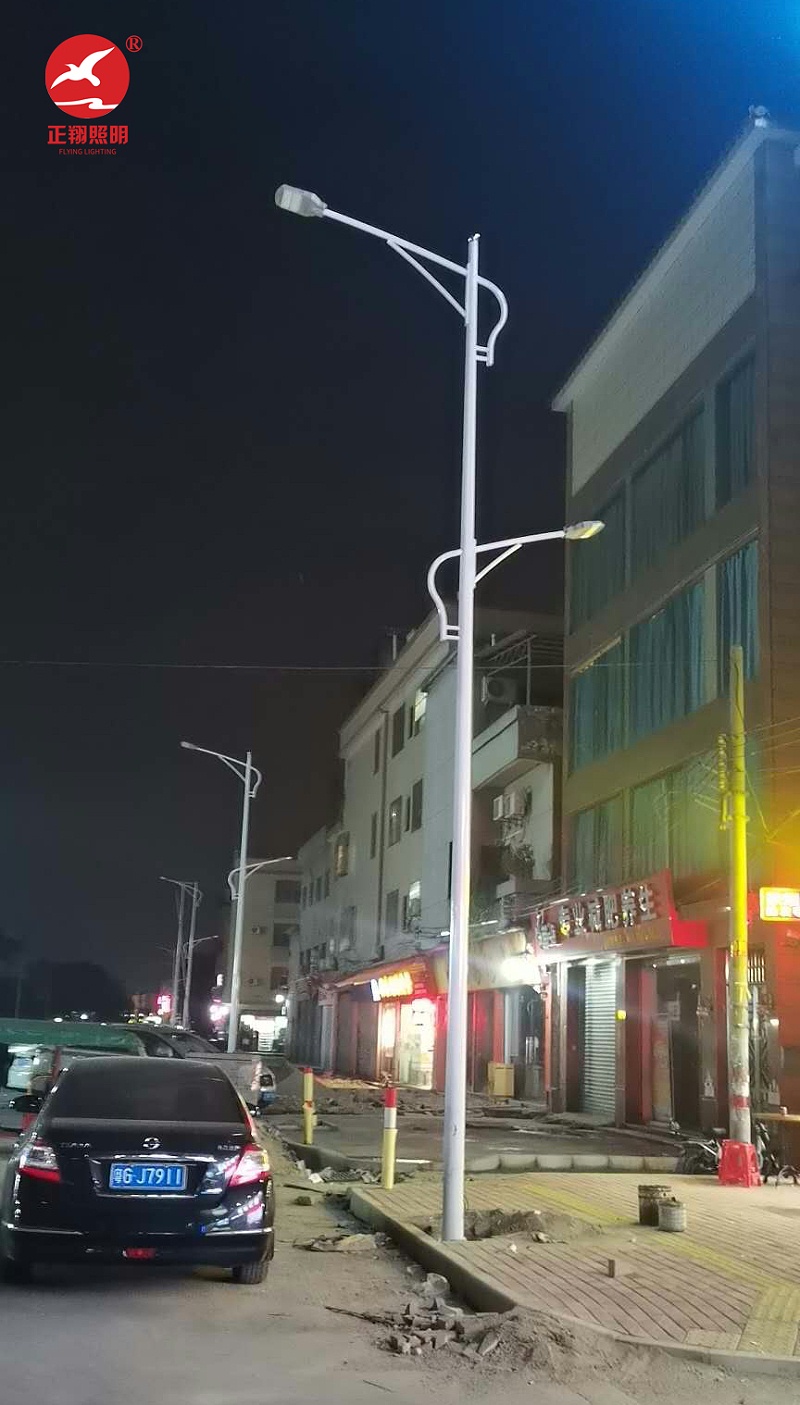 廣東佛山高低臂市電路燈 廣東佛山高低臂市電路燈