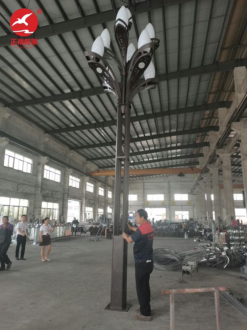 廣東肇慶工業(yè)區(qū)玉蘭燈安裝 廣東肇慶工業(yè)區(qū)玉蘭燈安裝