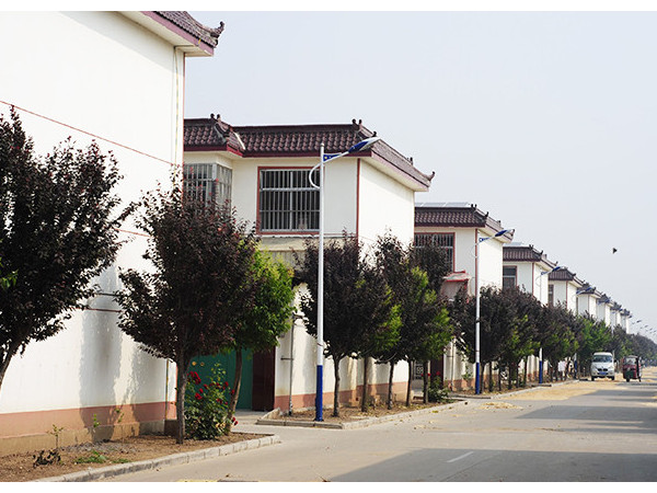 新農(nóng)村道路LED路燈照明