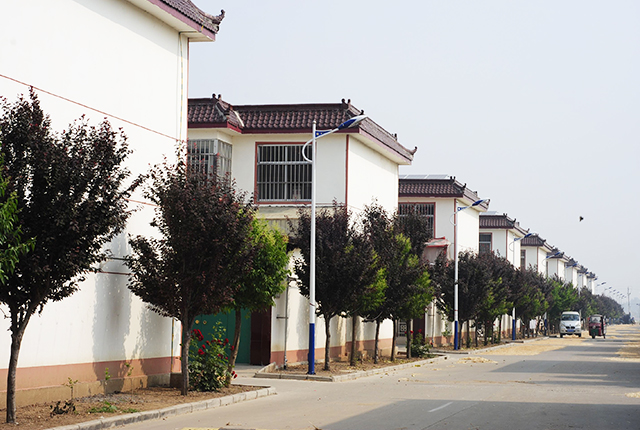 新農村道路LED路燈照明