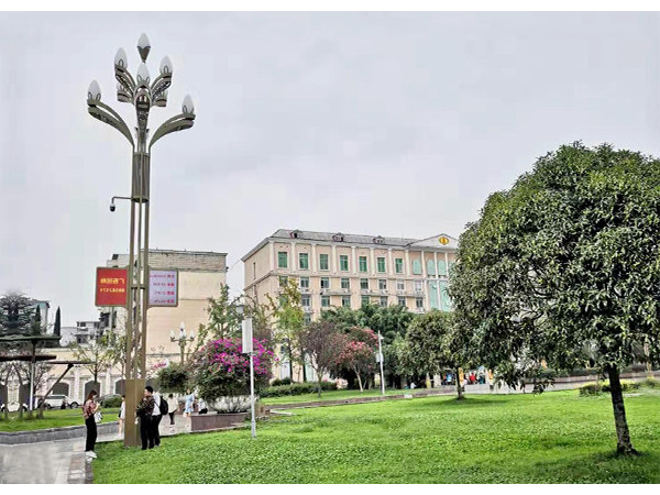 廣東智慧路燈項(xiàng)目