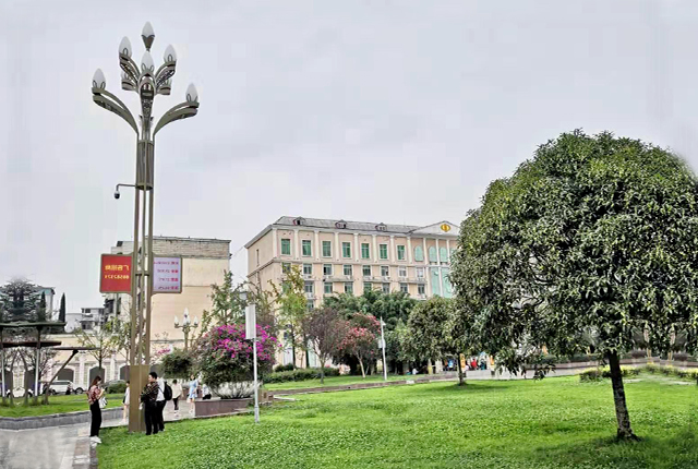 廣東智慧路燈項(xiàng)目