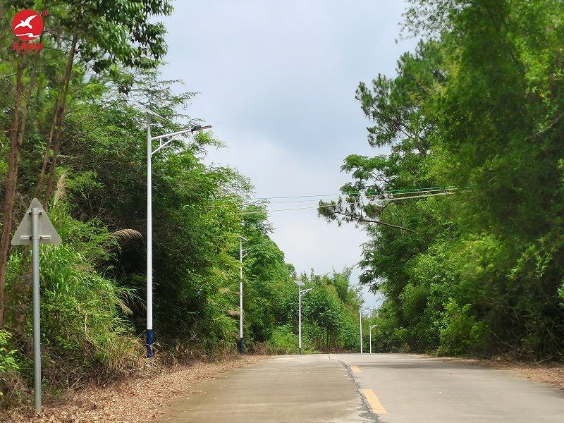 江門恩平太陽(yáng)能路燈 江門恩平太陽(yáng)能路燈