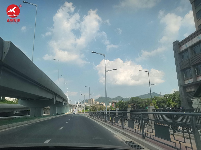 中山坦洲快線高低臂路燈 中山坦洲快線高低臂路燈