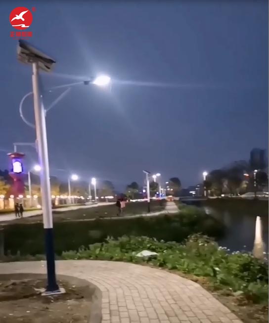 太陽(yáng)能滅蚊路燈 太陽(yáng)能滅蚊路燈
