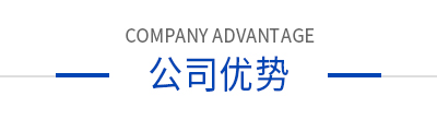 公司優(yōu)勢 公司優(yōu)勢