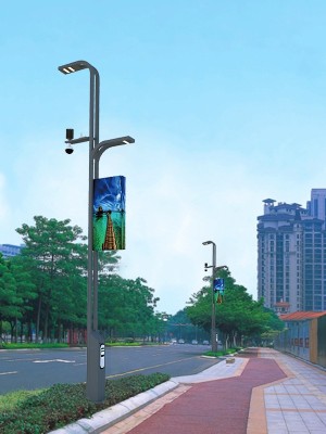 LED智慧路燈ZX7012 LED智慧路燈ZX7012