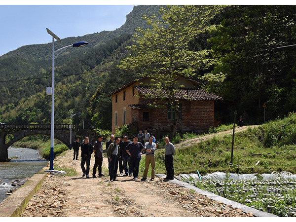農村太陽能路燈