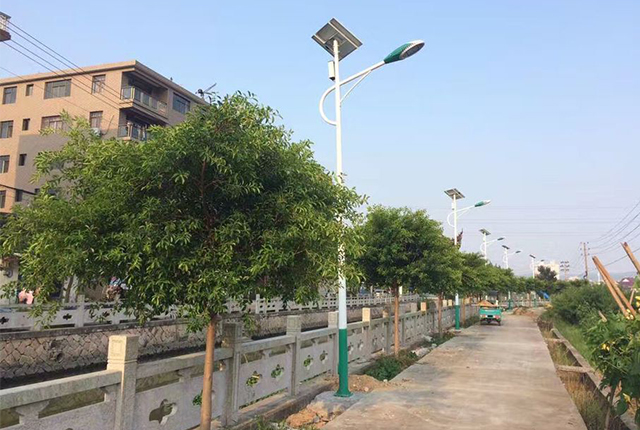 農(nóng)村太陽能路燈