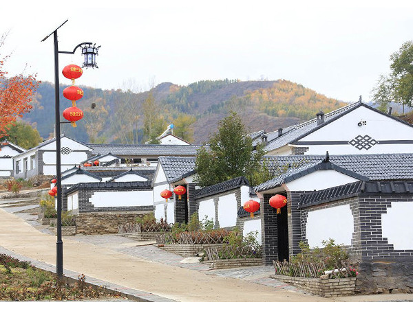 新農(nóng)村太陽能路燈