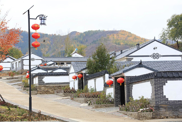 新農(nóng)村太陽能路燈照明