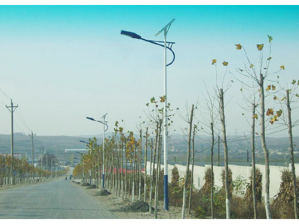 新農(nóng)村太陽(yáng)能路燈生產(chǎn)廠家