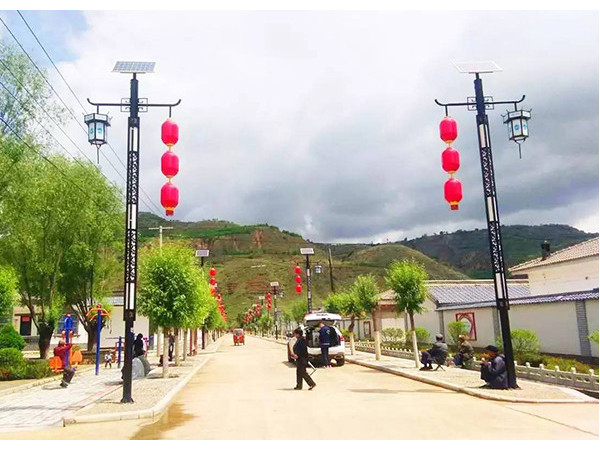 新農(nóng)村太陽(yáng)能路燈