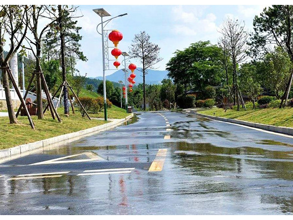 新農村太陽能路燈廠家