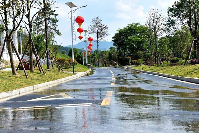 新農(nóng)村太陽能路燈廠家