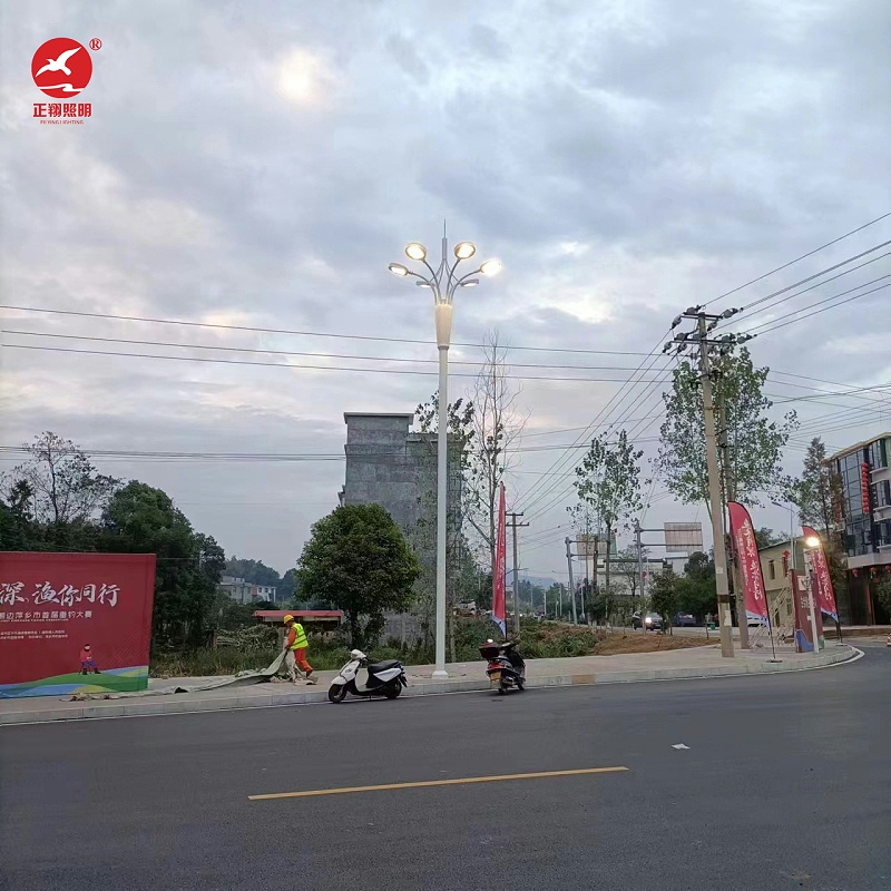 湖南道路景觀燈安裝 湖南道路景觀燈安裝